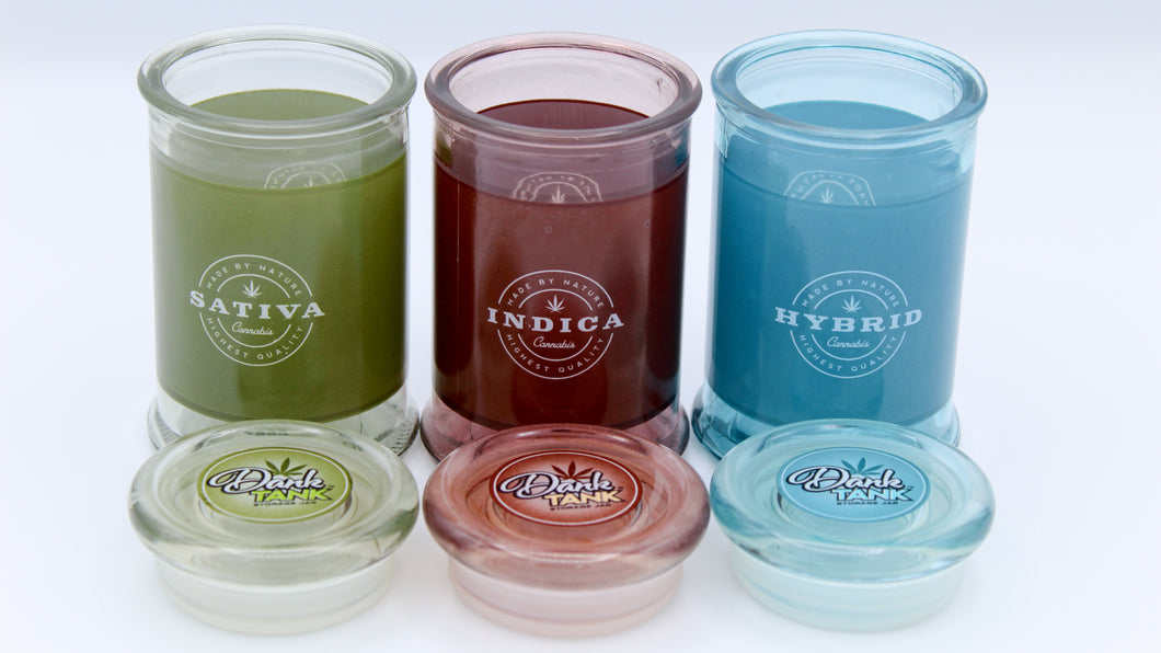 Fujima Glass Cultivar Jar (Hybrid)